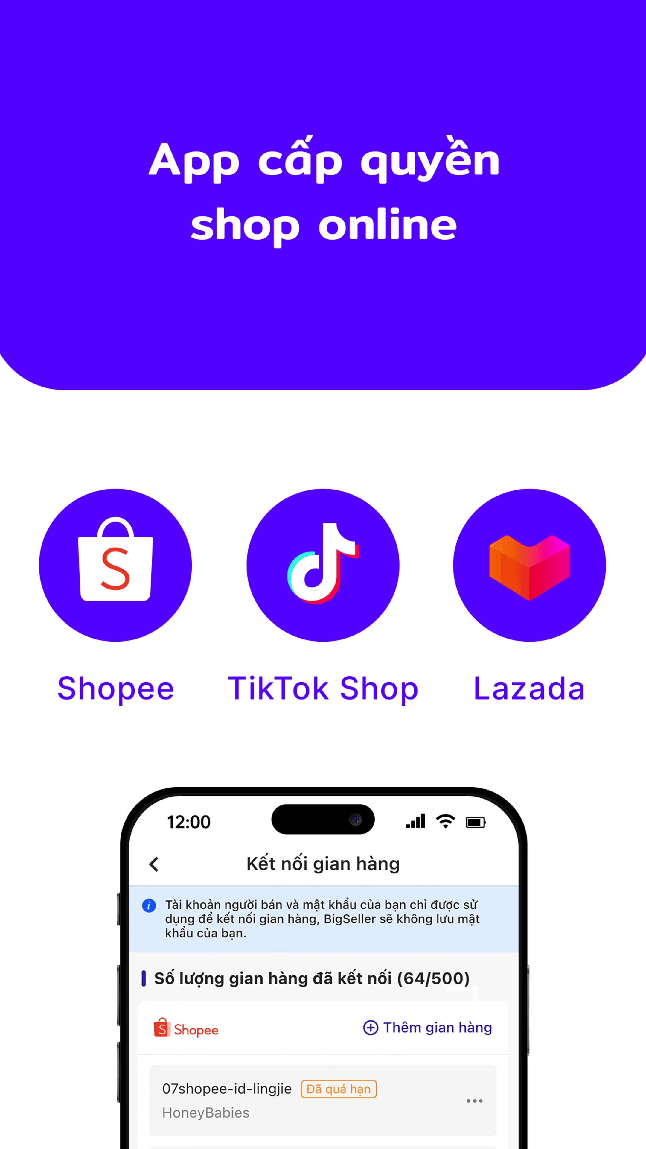 BigSeller screenshot